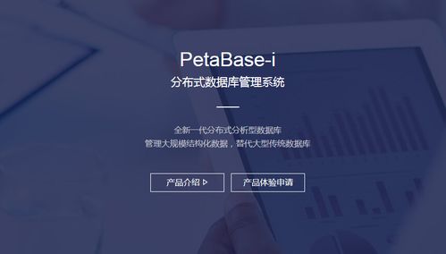分布式數(shù)據(jù)庫(kù)管理系統(tǒng) 構(gòu)建現(xiàn)代數(shù)據(jù)架構(gòu)的核心引擎