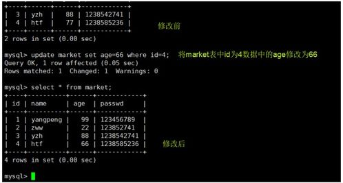 MySQL數(shù)據(jù)庫(kù)管理